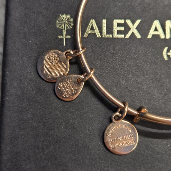 Alex and Ani Rose Gold 'I Love You' Charm Bracelet - Picture 3 of 4